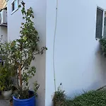 Pasadena Old Town 1